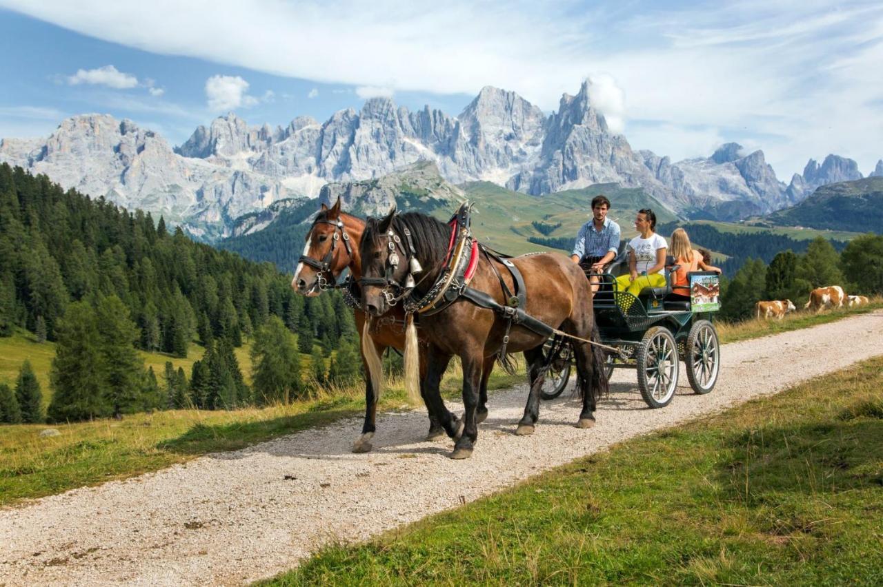 Hotel Italia Castello-Molina di Fiemme Bagian luar foto